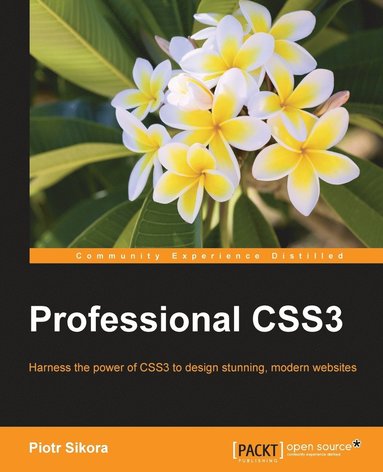 bokomslag Professional CSS3