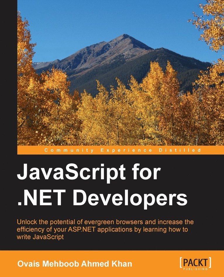 JavaScript for .NET Developers 1