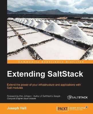 Extending SaltStack 1