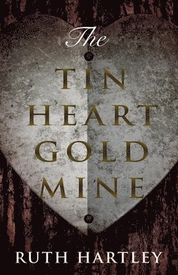 bokomslag Tin Heart Gold Mine