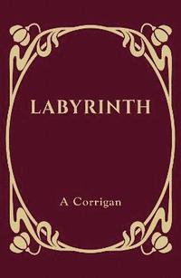 bokomslag Labyrinth