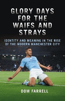 bokomslag Glory Days for the Waifs and the Strays