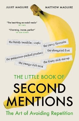 bokomslag Little Book of Second Mentions