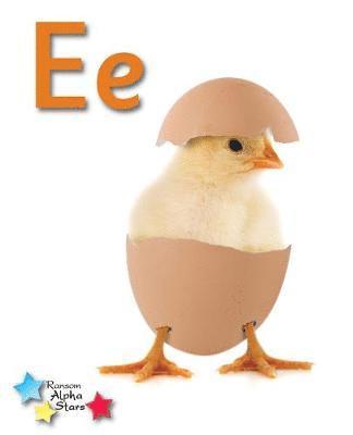 bokomslag Alpha Stars Ee