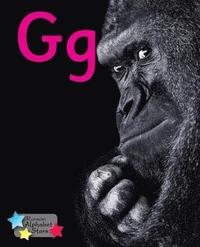 bokomslag Alpha Stars Gg