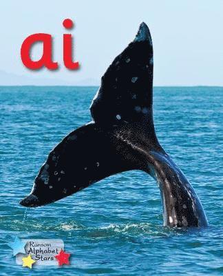 bokomslag Alpha Stars ai