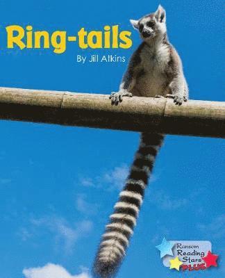 Ring-tails 1