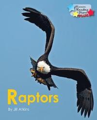 bokomslag Raptors