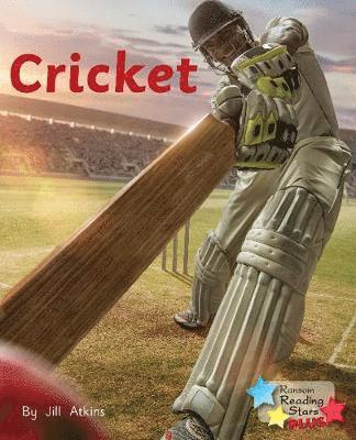Cricket 1