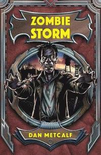 bokomslag Zombie Storm