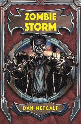 bokomslag Zombie Storm