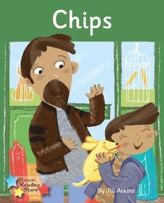 Chips 1