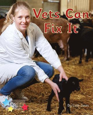 bokomslag Vets Can Fix It