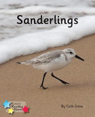 bokomslag Sanderlings