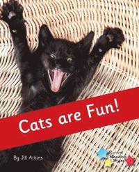 bokomslag Cats are Fun!