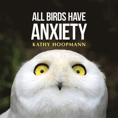 All Birds Have Anxiety 1