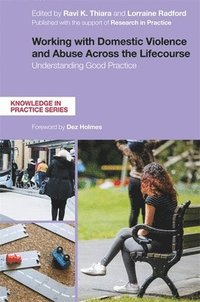 bokomslag Working with Domestic Violence and Abuse Across the Lifecourse