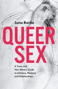 bokomslag Queer Sex