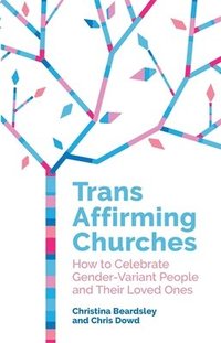 bokomslag Trans Affirming Churches