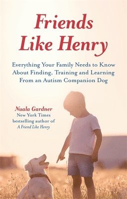 Friends like Henry 1
