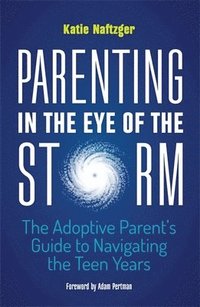 bokomslag Parenting in the Eye of the Storm