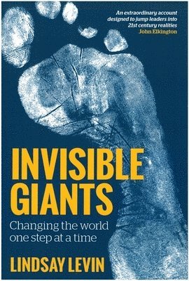 bokomslag Invisible Giants