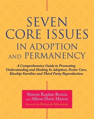 bokomslag Seven Core Issues in Adoption and Permanency