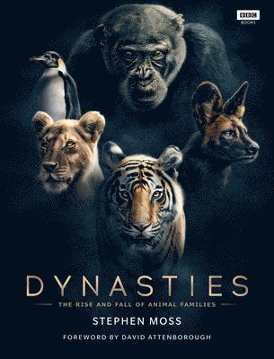 bokomslag Dynasties