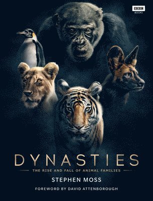 Dynasties 1