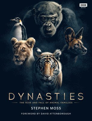 Dynasties