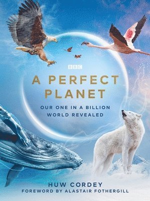 bokomslag A Perfect Planet