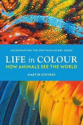 Life in Colour 1