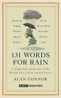 bokomslag 131 Words for Rain