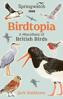 bokomslag Springwatch: Birdtopia