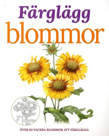 Färglägg blommor över 40 vackra blommor att färglägga – Diana Vowles