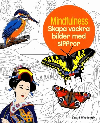 David Woodroffe - Mindfulness : skapa vackra bilder med siffror, Häftad