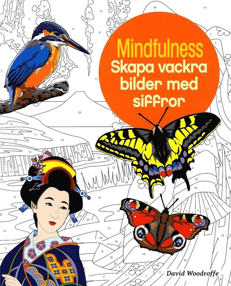 Mindfulness : skapa vackra bilder med siffror 1