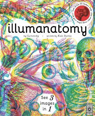 Illumanatomy 1