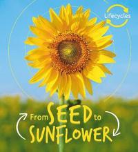 bokomslag Lifecycles: Seed to Sunflower