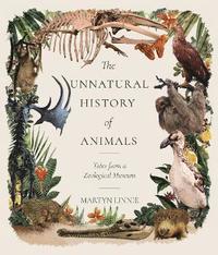 bokomslag The Unnatural History of Animals