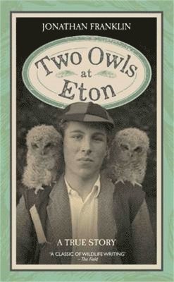 bokomslag Two Owls at Eton - A True Story