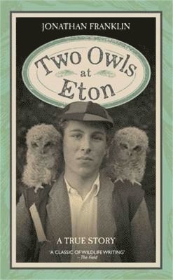 Jonathan Franklin - Two Owls at Eton - A True Story, Inbunden