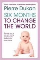 bokomslag Six Months to Change the World