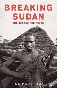 bokomslag Breaking Sudan
