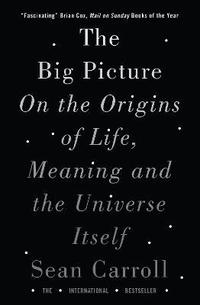 bokomslag Big picture - on the origins of life, meaning, and the universe itself
