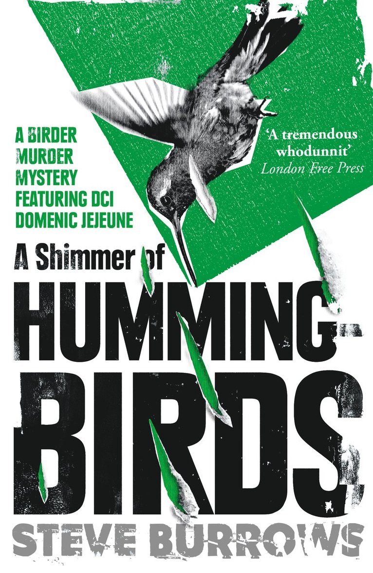 Steve Burrows - Shimmer of Hummingbirds, Häftad
