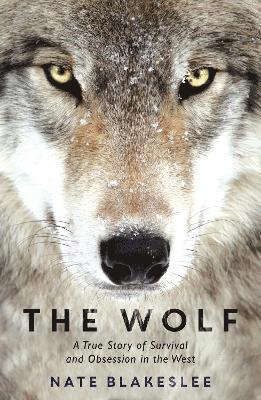 The Wolf 1