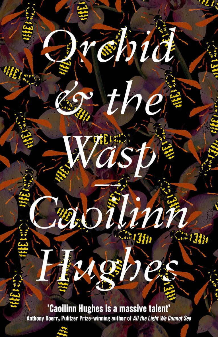 Orchid & the Wasp