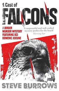 bokomslag A Cast of Falcons
