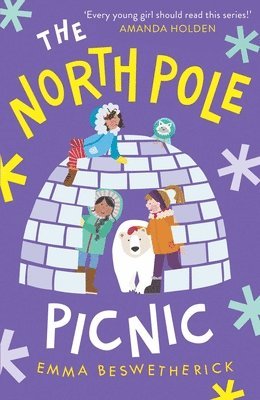 bokomslag The North Pole Picnic